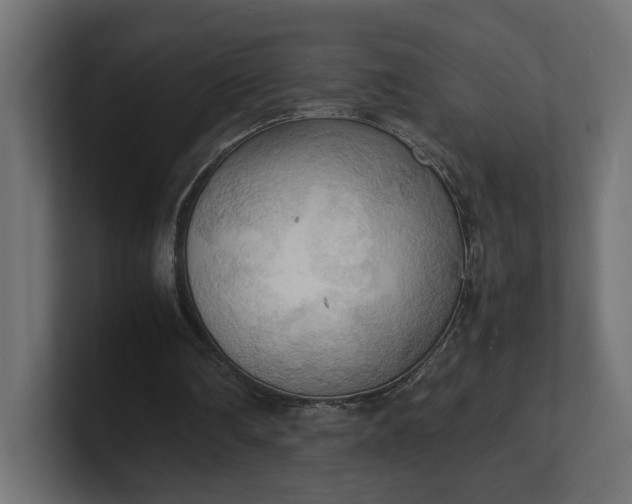 X0000100480290200806271208