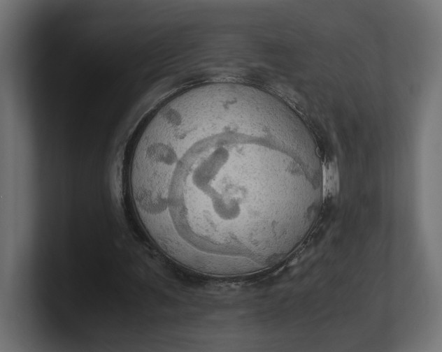 X0000100480291200806271208