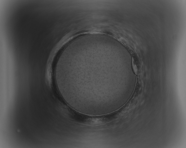 X0000100480295200806271208