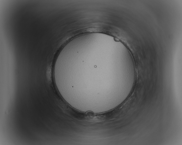 X0000100480297200806271208