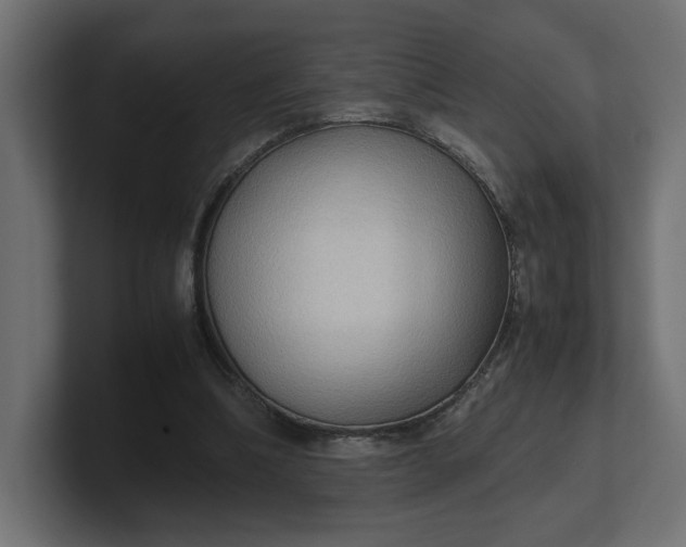 X0000100480298200806271208