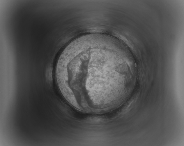 X0000100480299200806271208