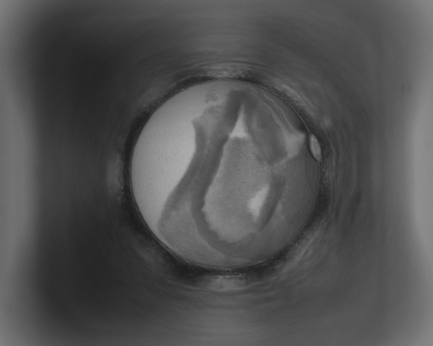 X0000100480303200806271208