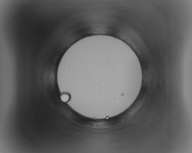 X0000100480309200806271208