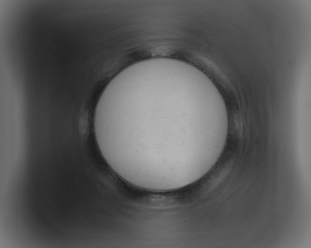 X0000100480311200806271208