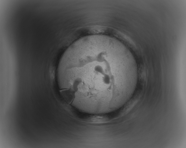 X0000100480315200806271208