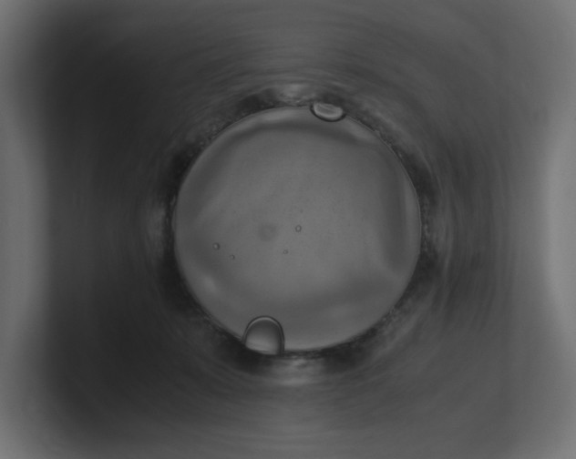 X0000100480319200806271208