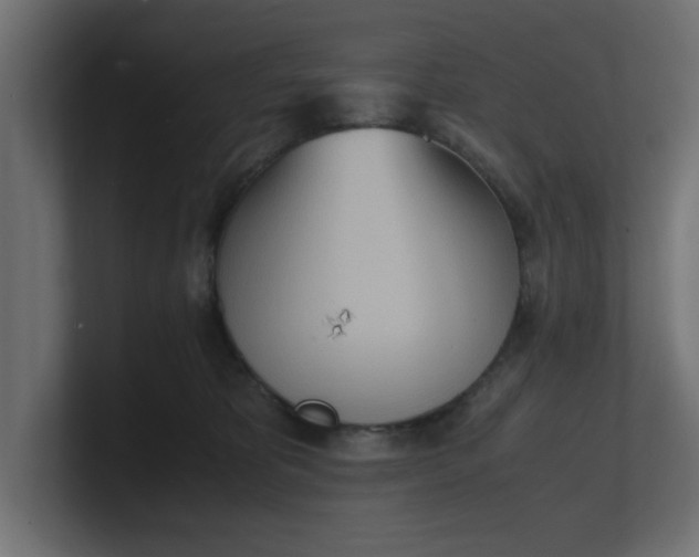 X0000100480325200806271208