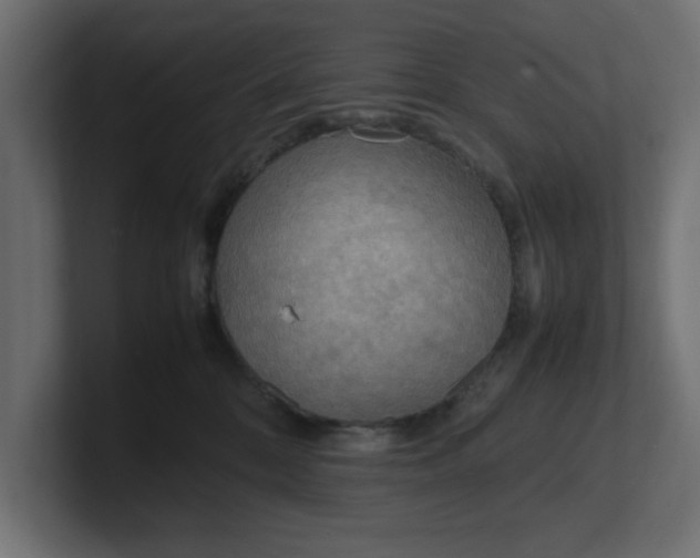 X0000100480328200806271207