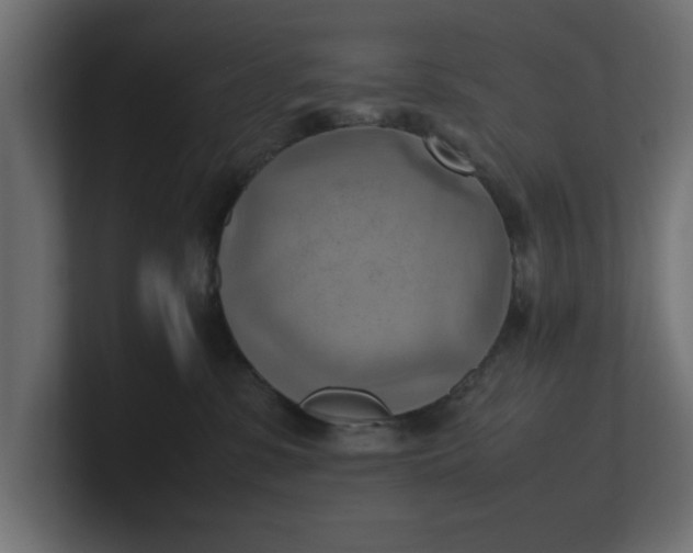 X0000100480331200806271207