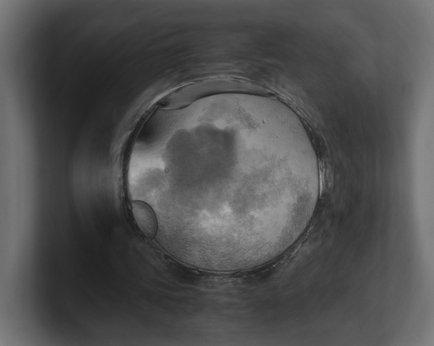 X0000100480339200806271207