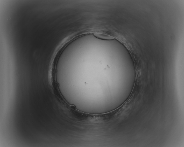X0000100480340200806271207
