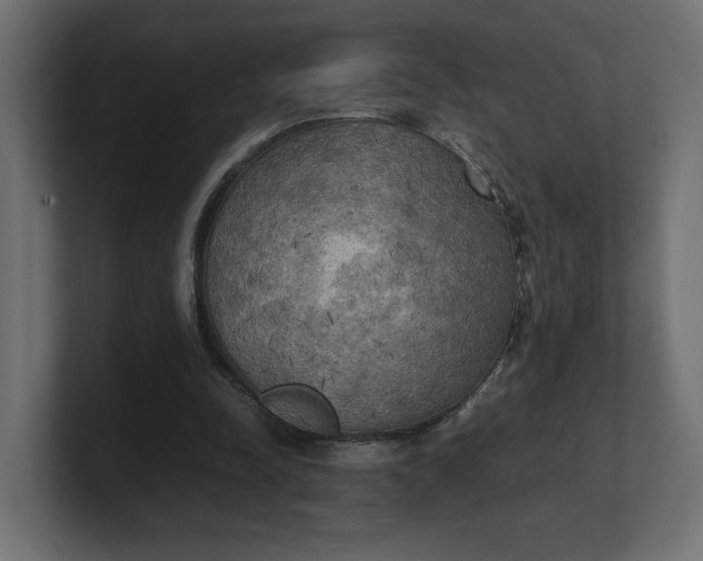 X0000100480342200806271207