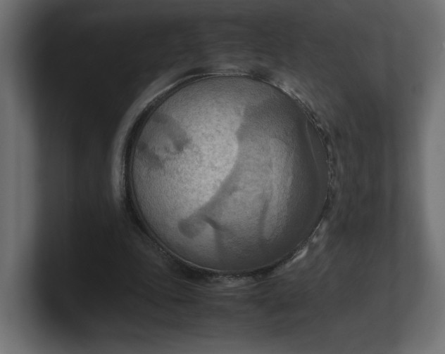 X0000100480343200806271207