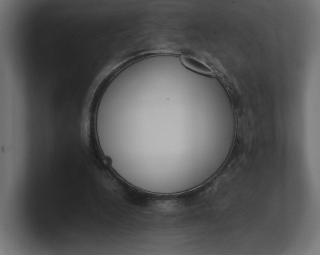 X0000100480344200806271207