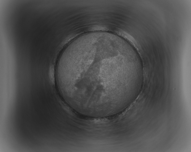 X0000100480345200806271207
