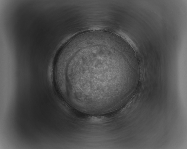 X0000100480346200806271207