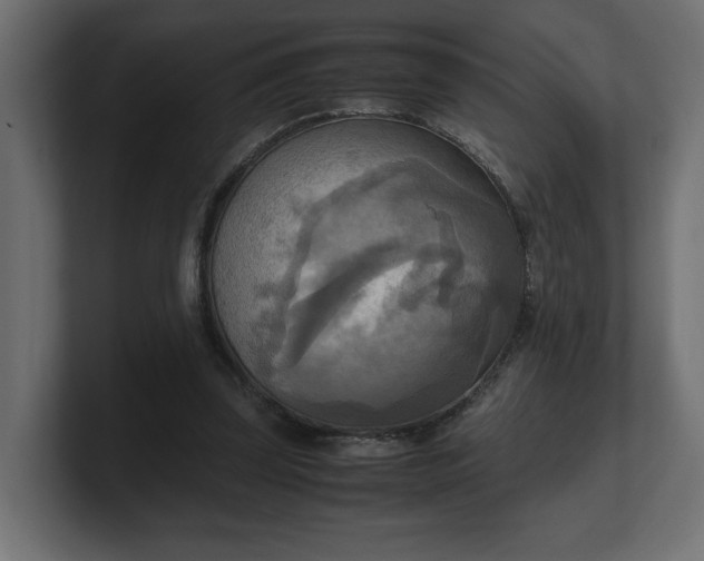 X0000100480347200806271207