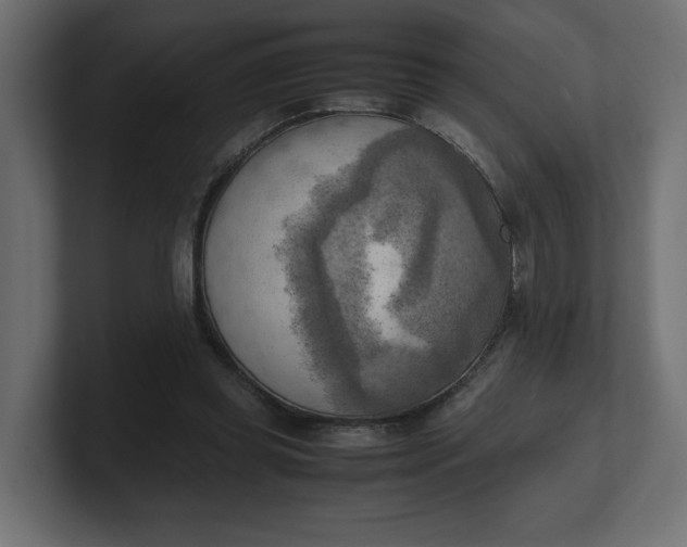 X0000100480349200806271207