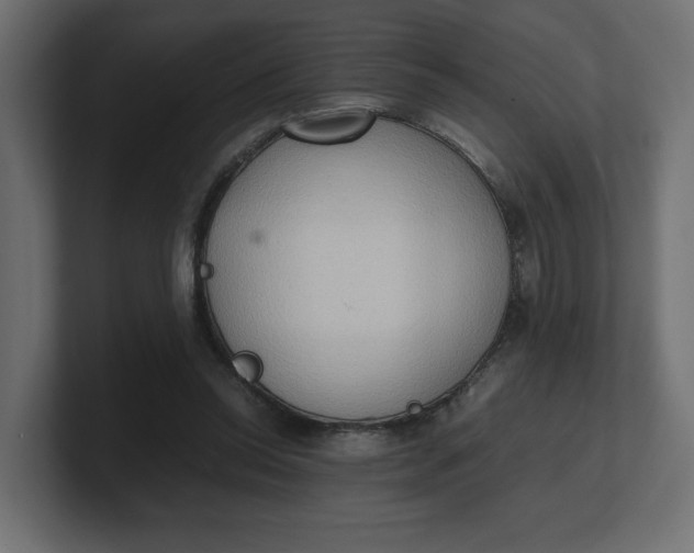 X0000100480350200806271207