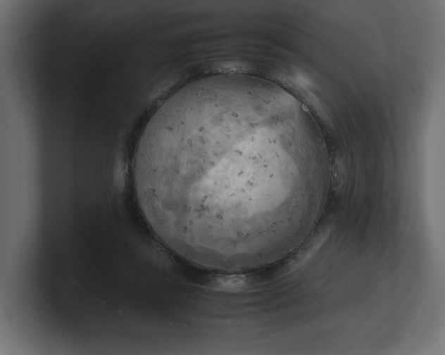 X0000100480355200806271207
