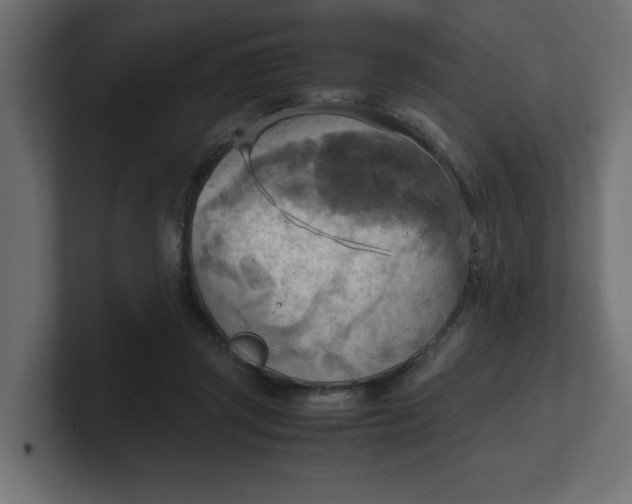 X0000100480357200806271207