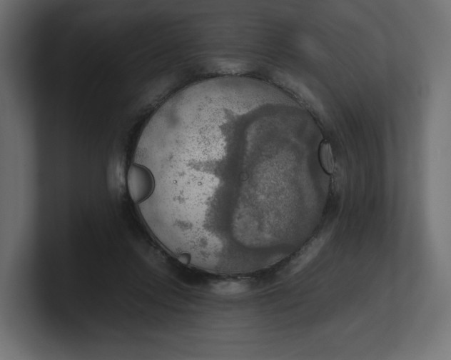 X0000100480358200806271207