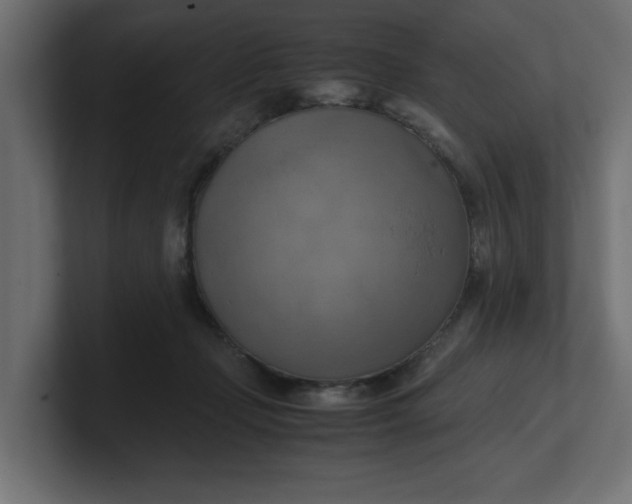 X0000100480365200806271207