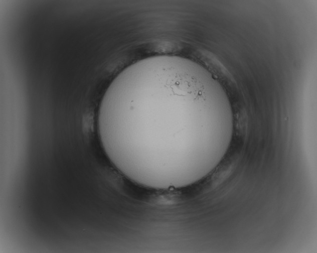 X0000100480368200806271207