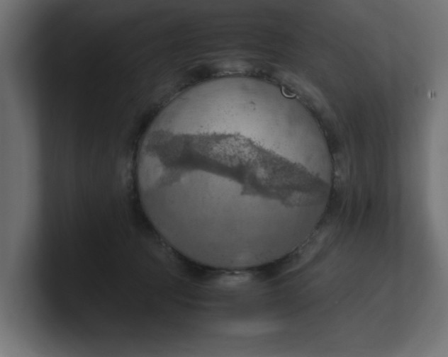 X0000100480369200806271207