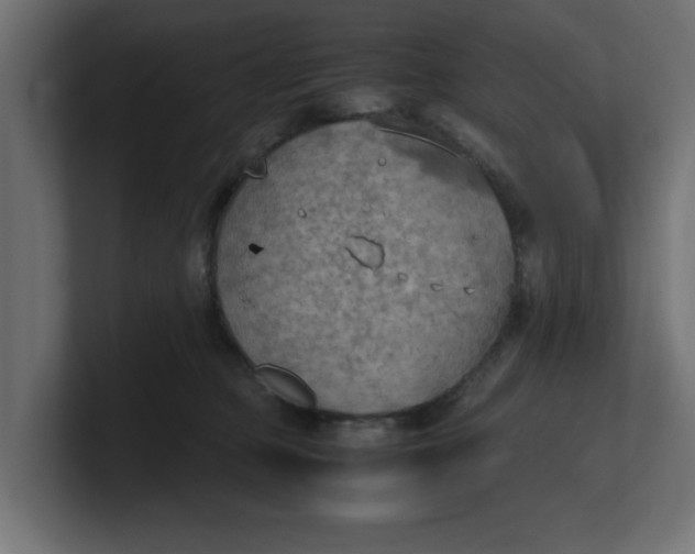 X0000100480373200806271207