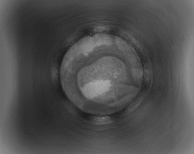 X0000100480375200806271207