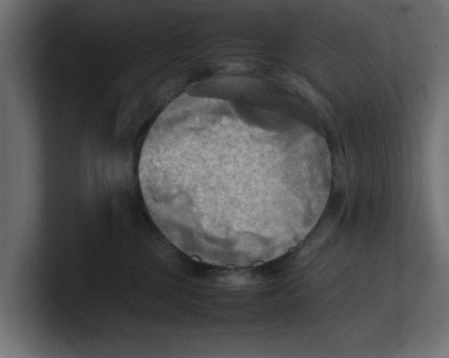 X0000100480377200806271207
