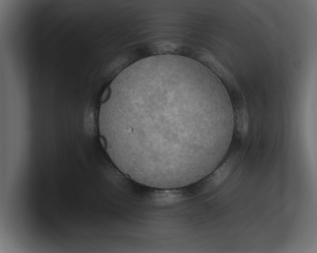 X0000100480378200806271207