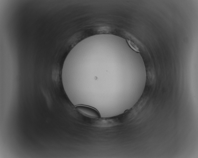 X0000100480379200806271207