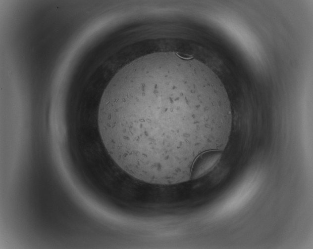 X0000100480383200806271207