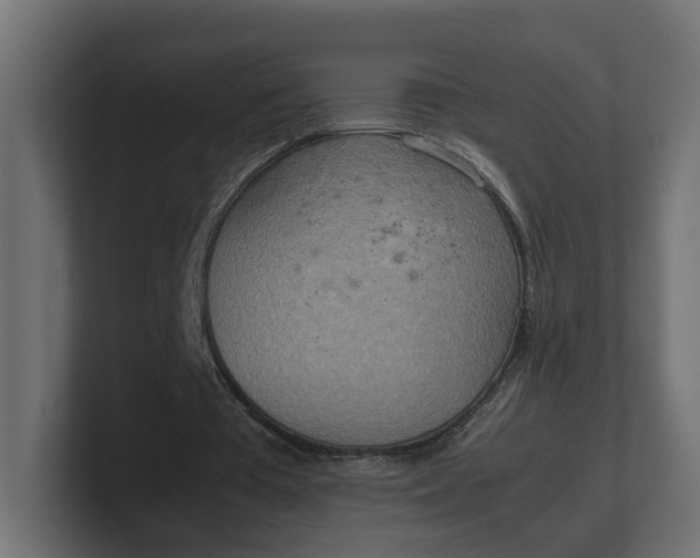 X0000100480385200806271207
