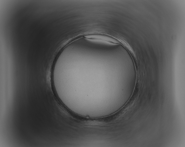 X0000100480389200806271207
