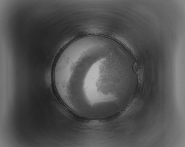 X0000100480390200806271207