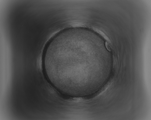 X0000100480391200806271207