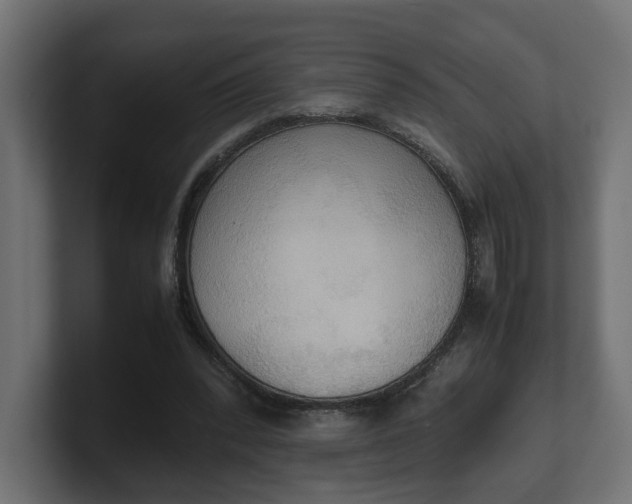 X0000100480392200806271207