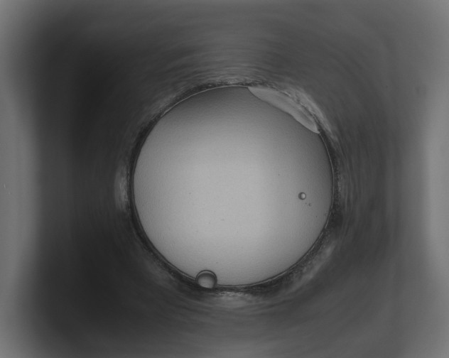 X0000100480393200806271207