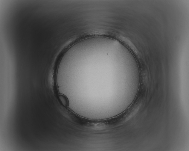 X0000100480395200806271207