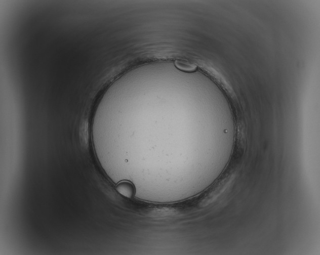 X0000100480397200806271207