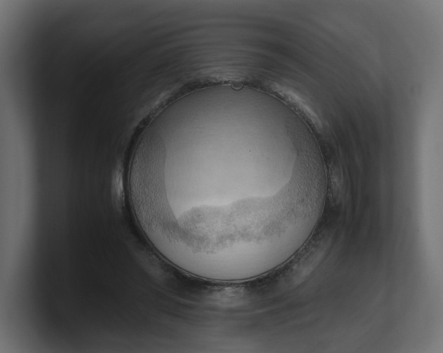 X0000100480398200806271207