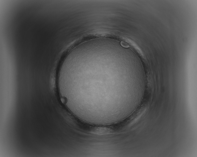 X0000100480399200806271207
