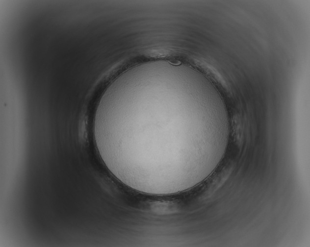 X0000100480400200806271207