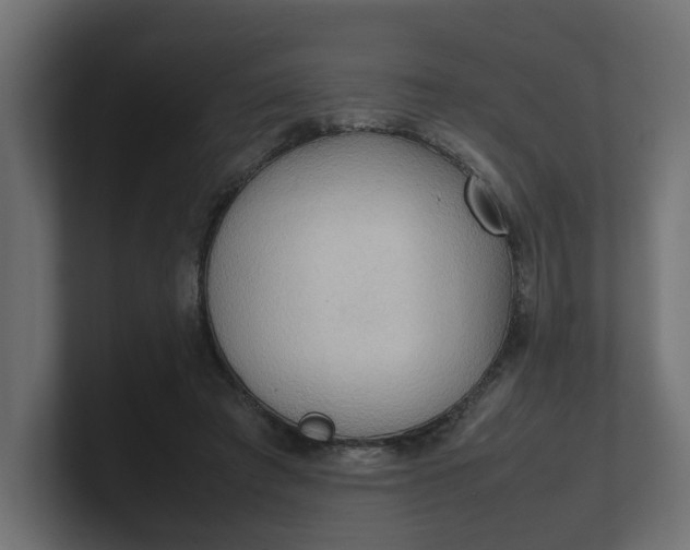 X0000100480401200806271206
