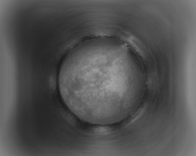 X0000100480402200806271206