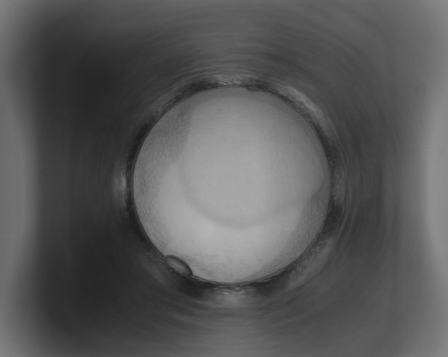 X0000100480405200806271206